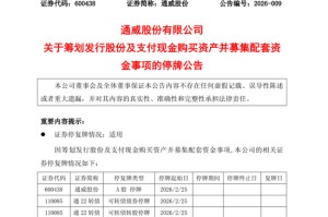 光伏巨头大动作！600438，停牌！