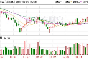 日久光电：2025年度业绩预告
