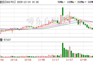 永东股份：调整“永东转2”转股价格