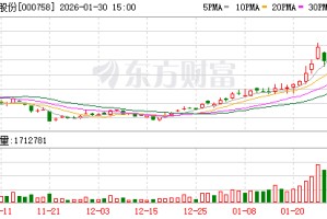 中色股份：公司控股子公司可以根据资金需求在审批额度和有效期内向财资公司申请借款