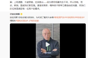 魏建军谈“纯电电动车取代燃油车”观点：每种技术都有适合场景，要满足每一位用户的需求