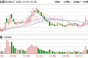 白云电器：不存在逾期担保情况