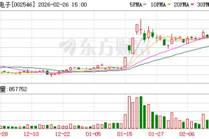 新联电子：截至2026年2月13日公司股东总数为8.56万户