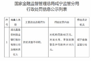 湖北嘉鱼农村商业银行被罚40万元：贷前调查不尽职