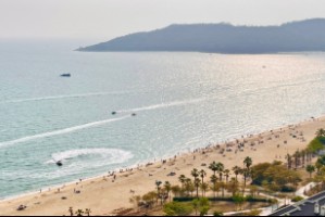 【申万宏源研究春节见闻】旅居热与跨境潮：从惠州滨海到香港街头的春节轨迹