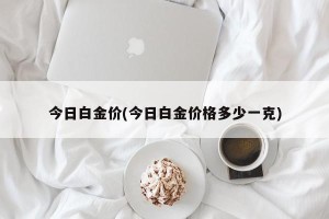 今日白金价(今日白金价格多少一克)