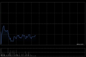 光大证券：首予赤子城科技“买入”评级 目标价14.5港元