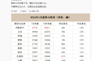 潘九堂：小米车主的真实用户体验和口碑传播，别人黑不动