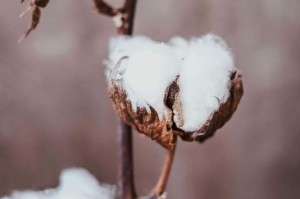 连续交易和分段交易有何不同？