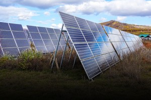 价格触底，长夜未尽：光伏产业在过剩与希望之间跋涉