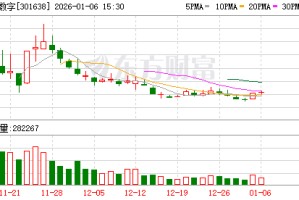 南网数字：“时空智能数字孪生平台建设项目”总投资及募集资金投资额均为33954.93万元