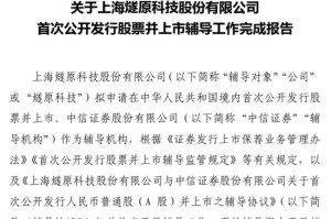 又一家AI芯片独角兽IPO辅导工作完成！