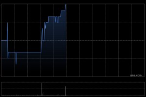 天立国际控股获执行董事罗实增持50万股